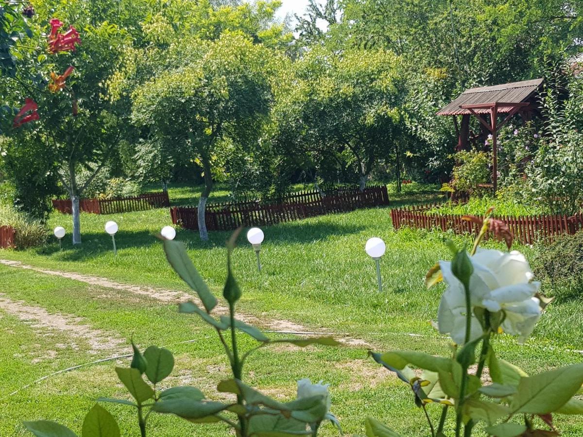 Colt De Rai Hotel Corbu  Ngoại thất bức ảnh